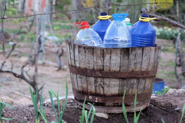 DSC05581 -RIEGO [1600x1200]