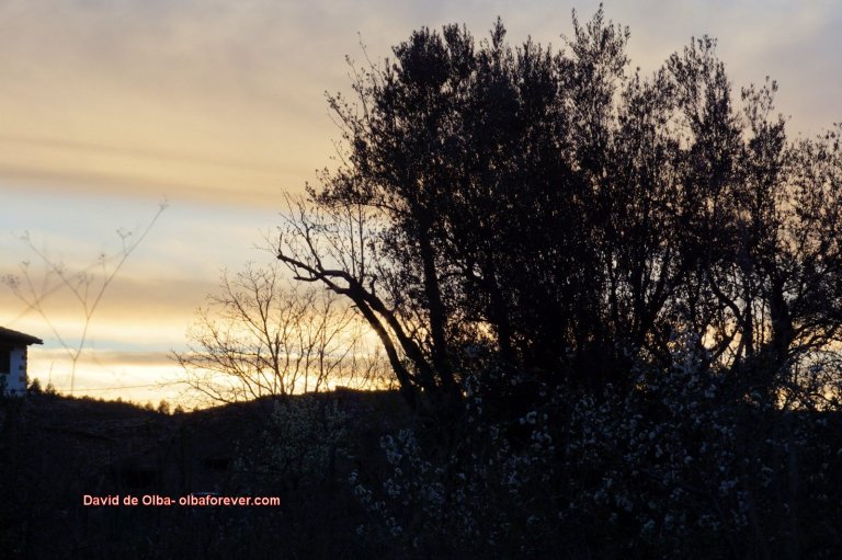 DSC05586 -  LO QUE EL VIENTO SE LLEVÓ [1600x1200]