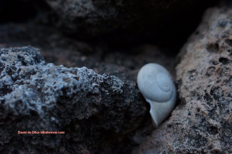 DSC05599 - CASA EN EL ACANTILADO [1600x1200]