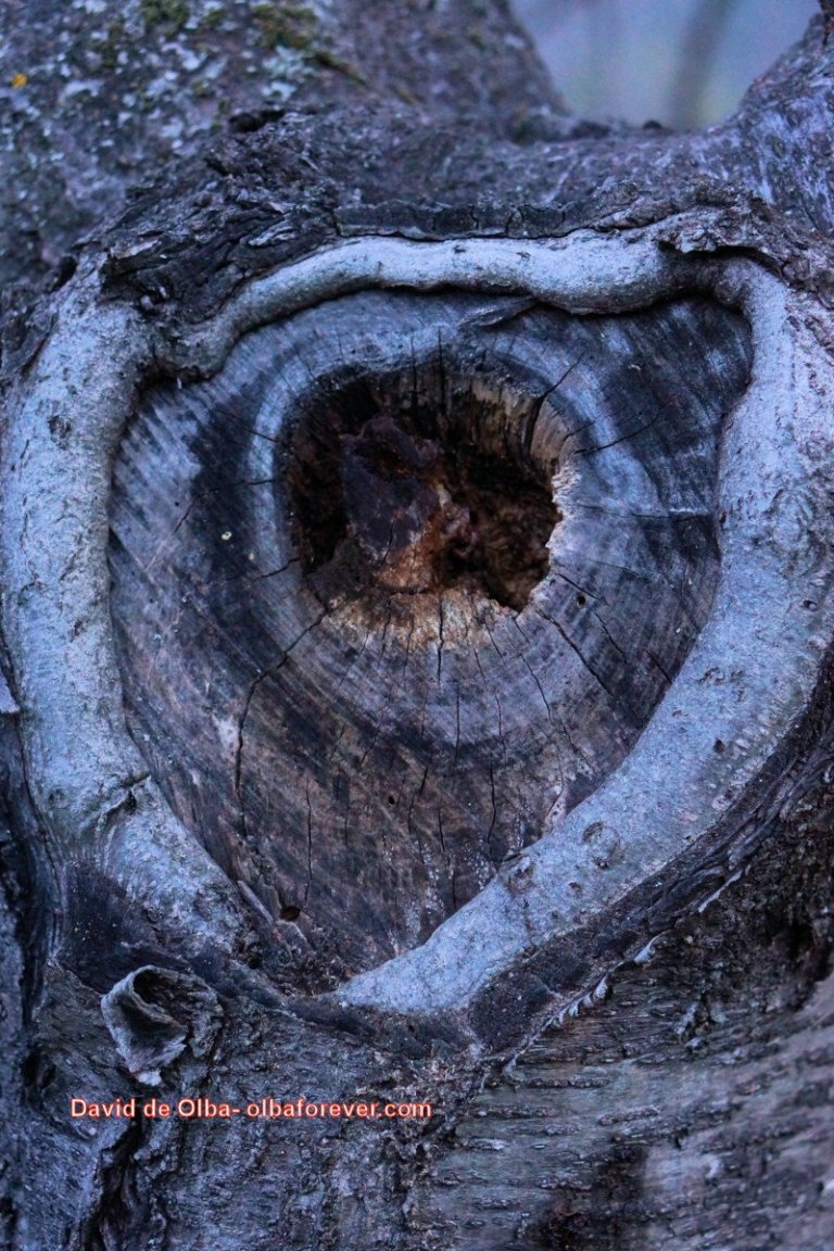 DSC05602 [1600x1200]