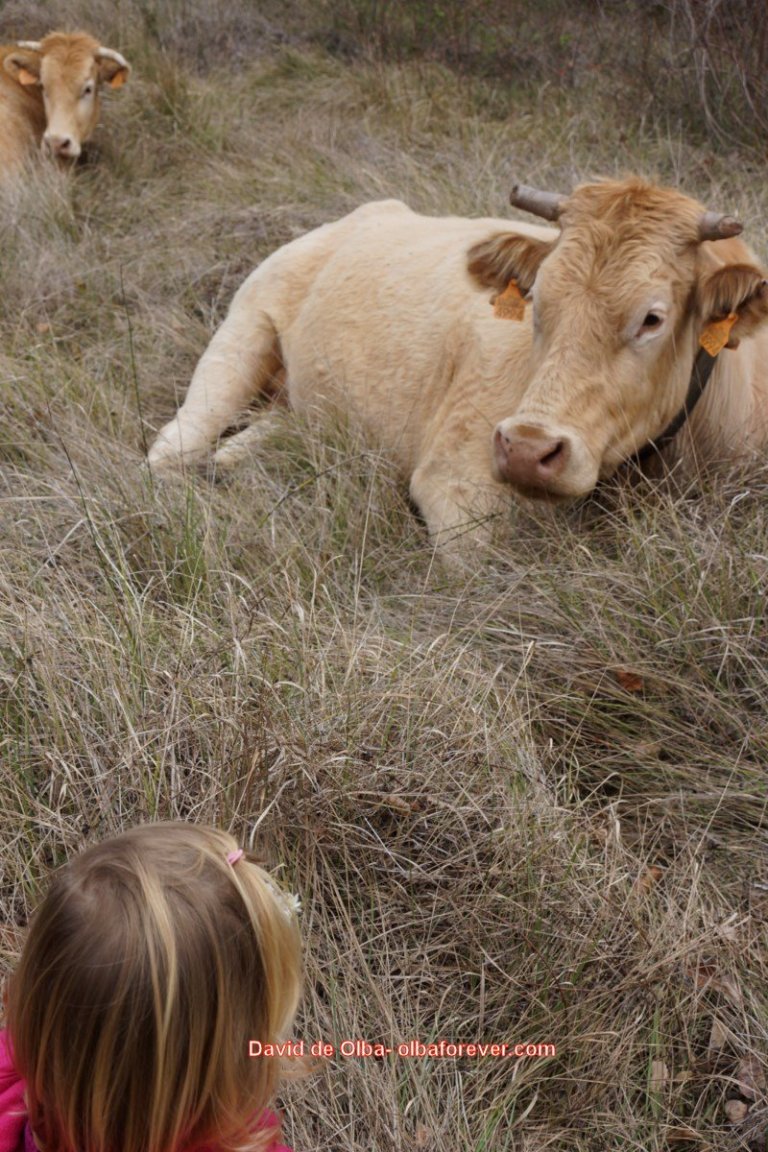 DSC05620 - CONVERSACION B. SABADELL [1600x1200]