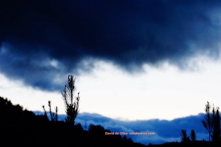 DSC05662 - TORMENTA A LA VISTA [1600x1200]