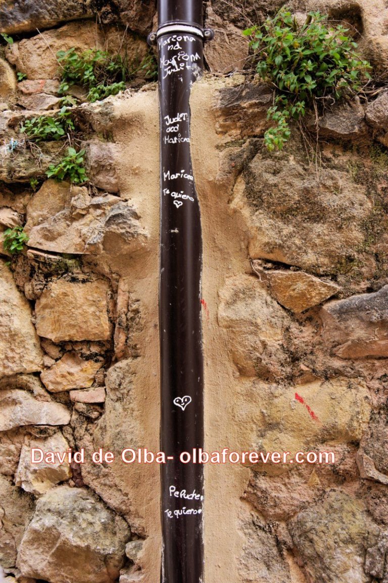 DSC05673- TUBO DE DESEOS [1600x1200]