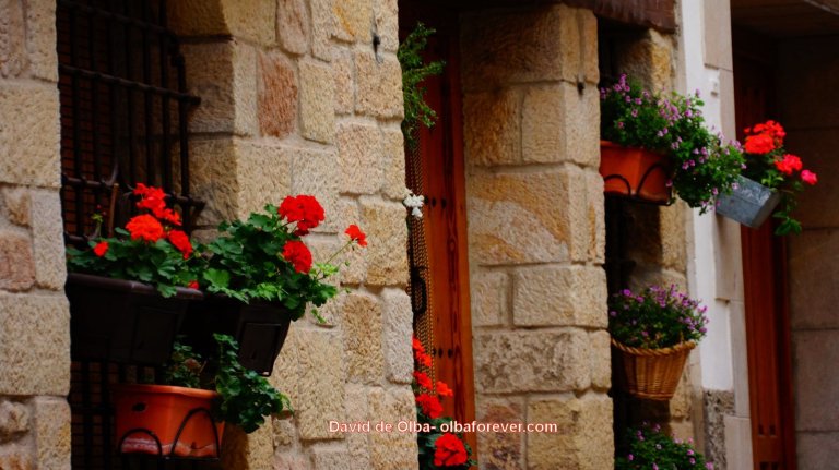 DSC06158 [1600x1200] COLORES EN LA CALLE MAYOR