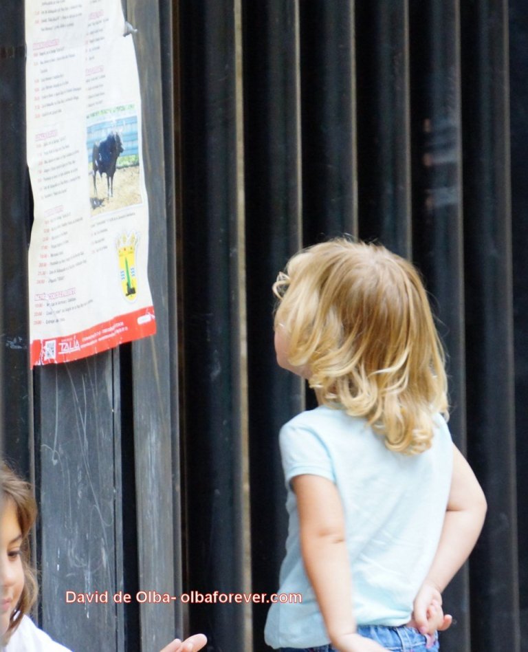 DSC06305 [1600x1200] -  LECTURA