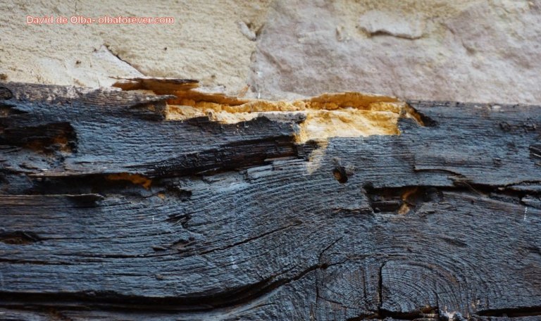 DSC06313 [1600x1200] -  CARCOMA MUNICIPAL