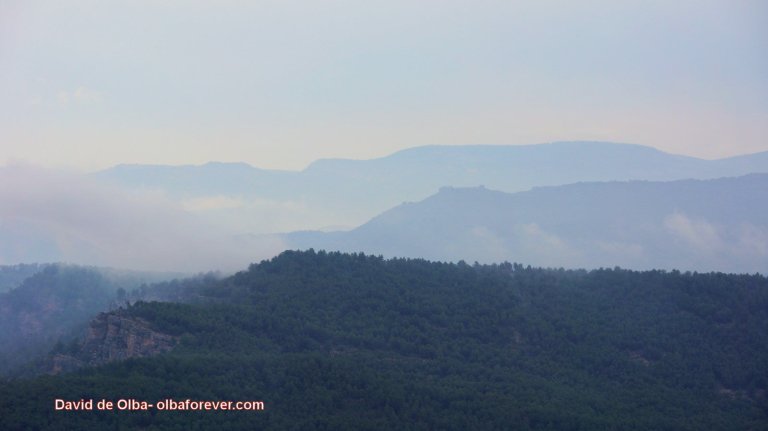 DSC06331 - NUBES BAJAS