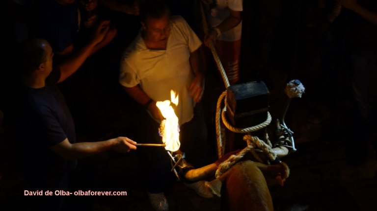 DSC06575 [1600x1200] -  ENCENDER