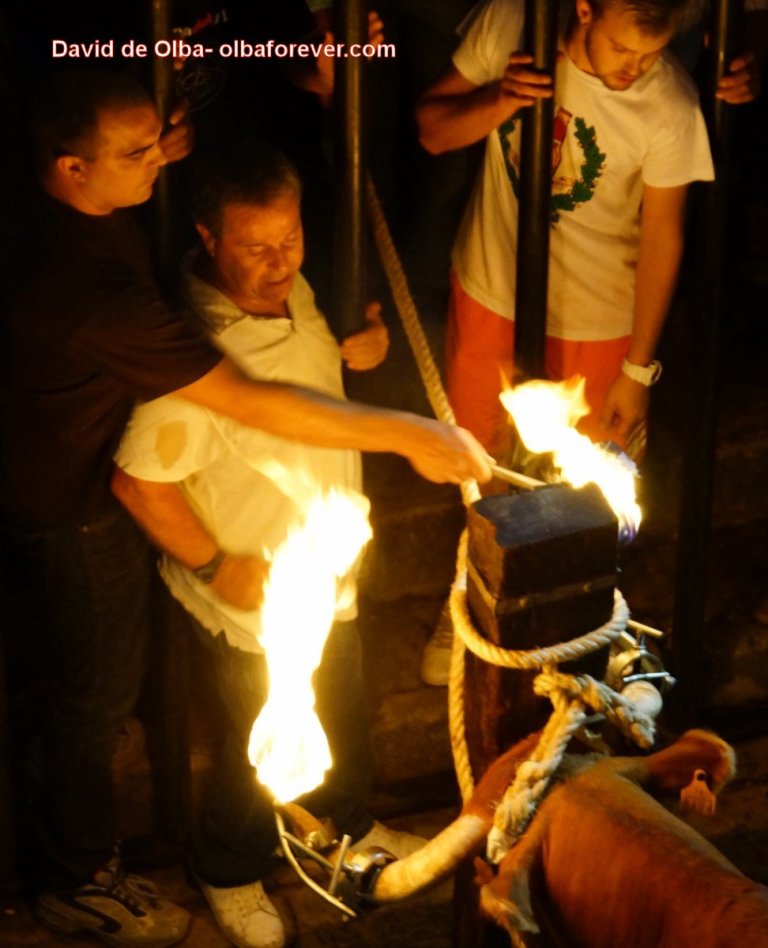 DSC06576 [1600x1200] - ENCENDER