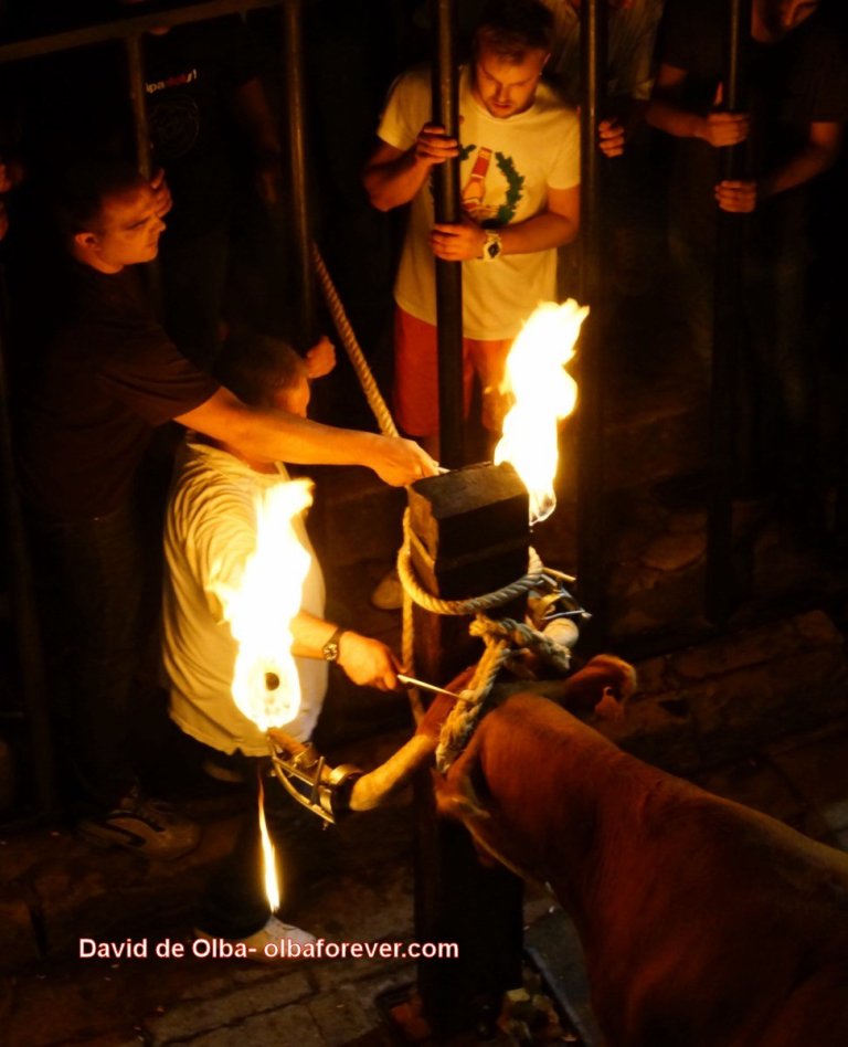 DSC06578 [1600x1200] -  CORTADO