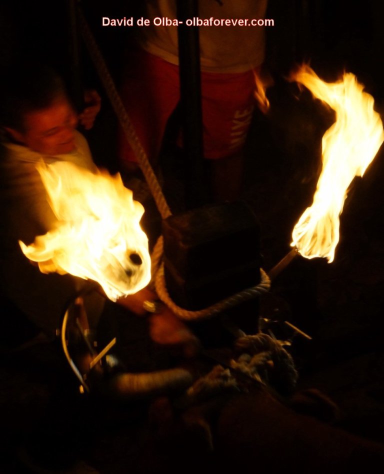 DSC06587 [1600x1200]