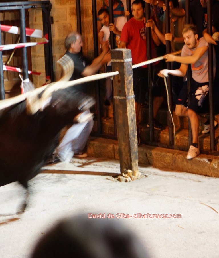 DSC06726 [1600x1200] - CARA DE SUSTO