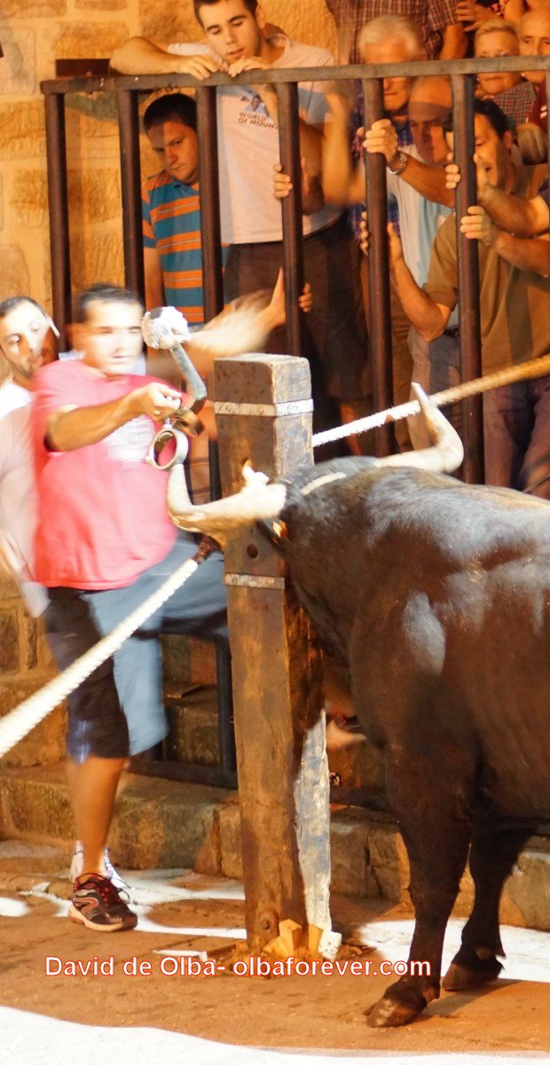 DSC06736 [1600x1200] -  COLOCAR BOLAS