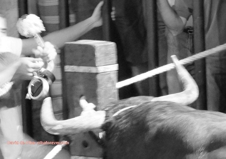 DSC06737 [1600x1200] - COLCACIÓN