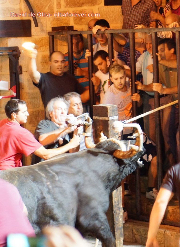 DSC06768 [1600x1200] -  COLOCACIÓN