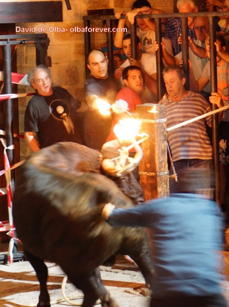 DSC06784 [1600x1200]