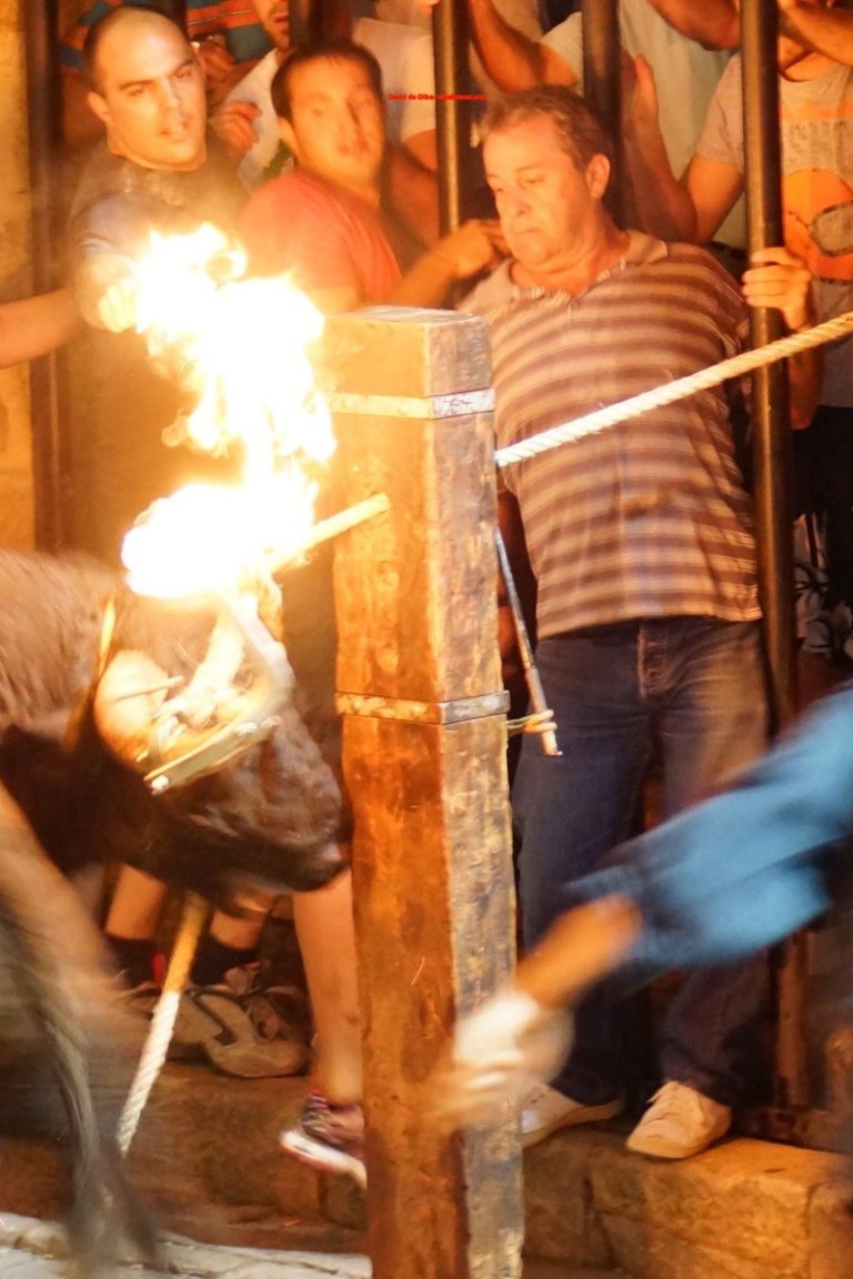 DSC06786 [1600x1200] - A PUNTO DE CORTAR