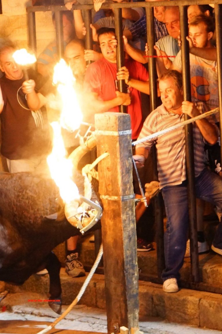 DSC06790 [1600x1200] -  DANDO CALOR