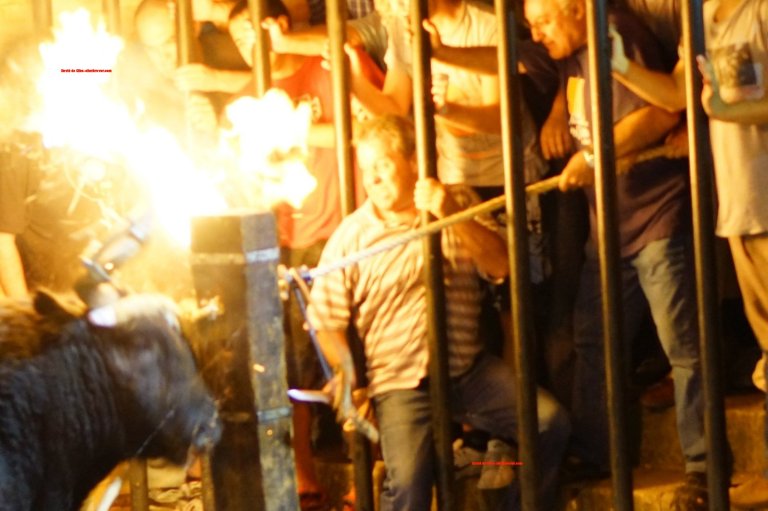 DSC06791 [1600x1200] HULK CORTANDO LA SOGA