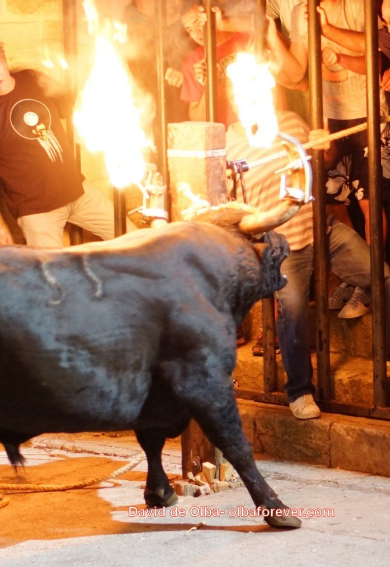 DSC06799 [1600x1200]