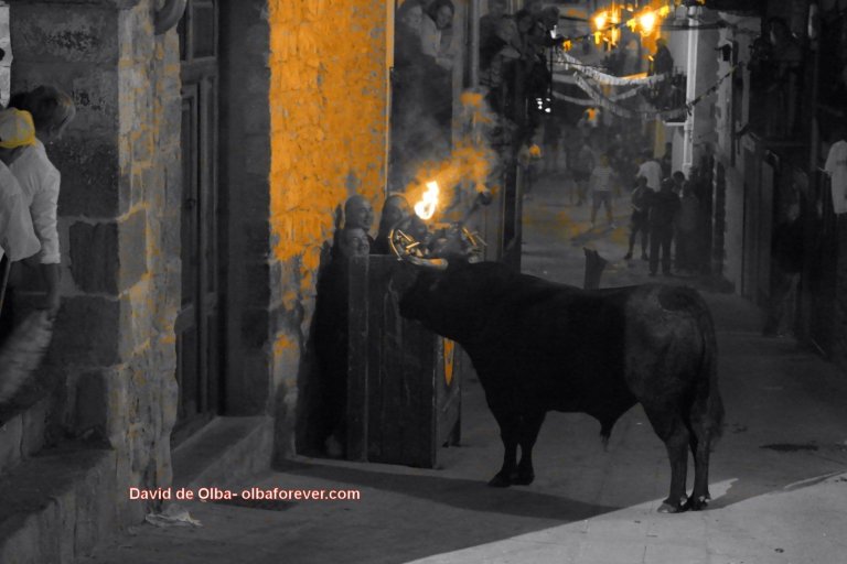 DSC06959 [1600x1200]