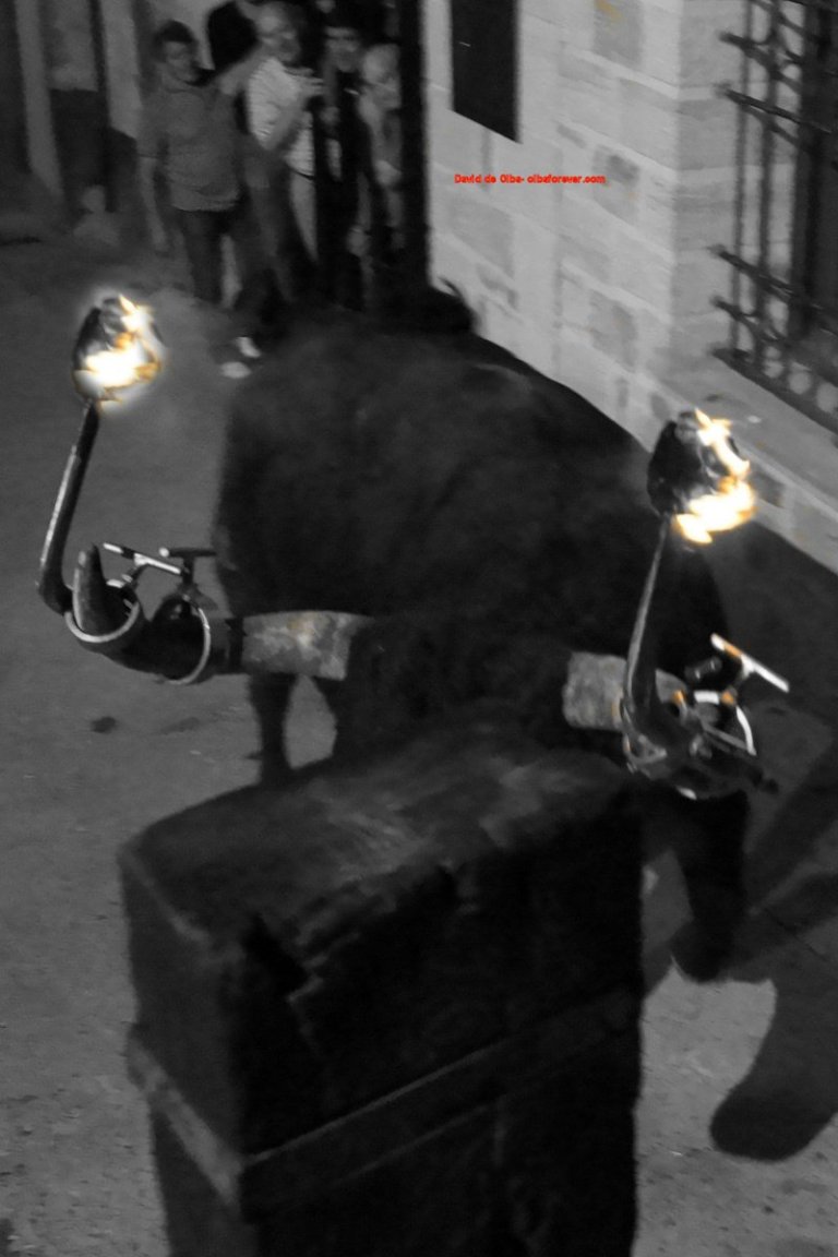 DSC06982 [1600x1200]