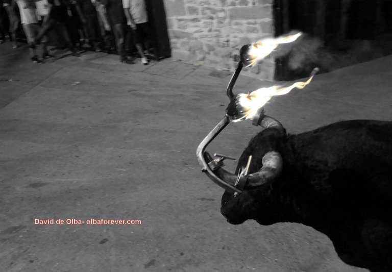 DSC06984 [1600x1200]