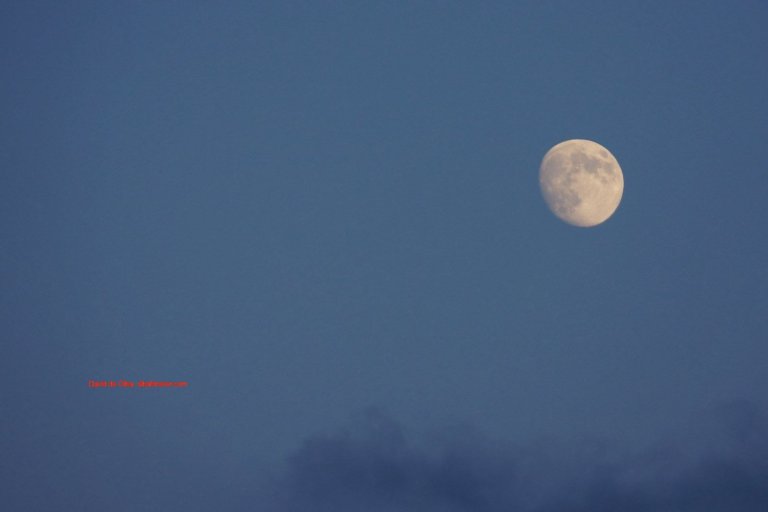 DSC07182 [1600x1200] - LUNA DE OLBA