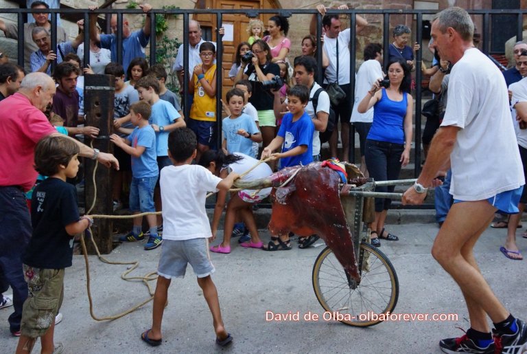 DSC07403 [1600x1200]