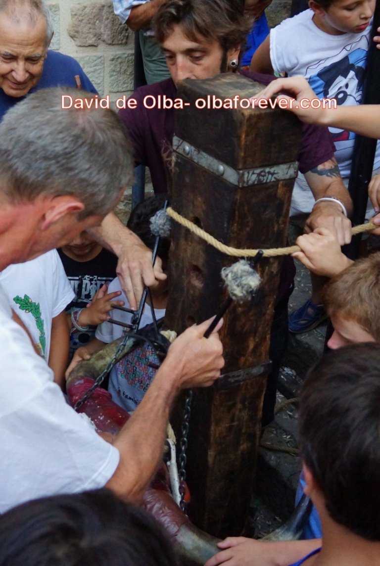 DSC07407 [1600x1200]