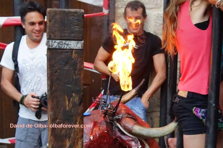 DSC07417 [1600x1200] -  EMPITONADA