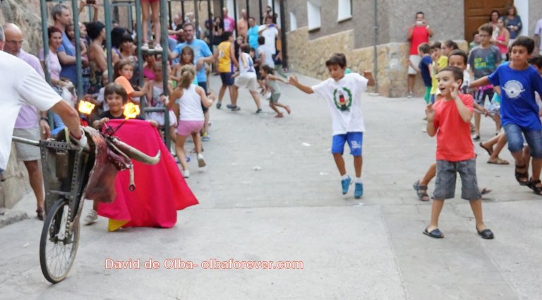 DSC07432 [1600x1200]