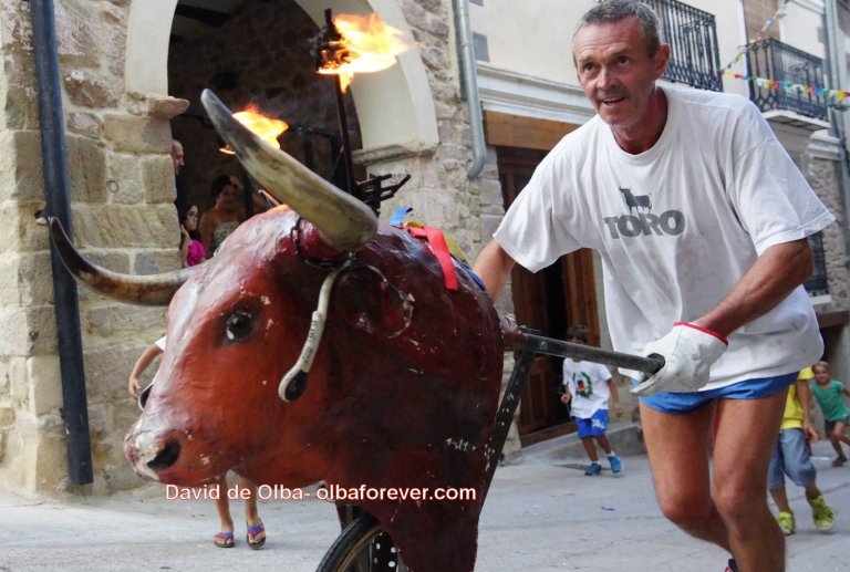 DSC07438 [1600x1200]