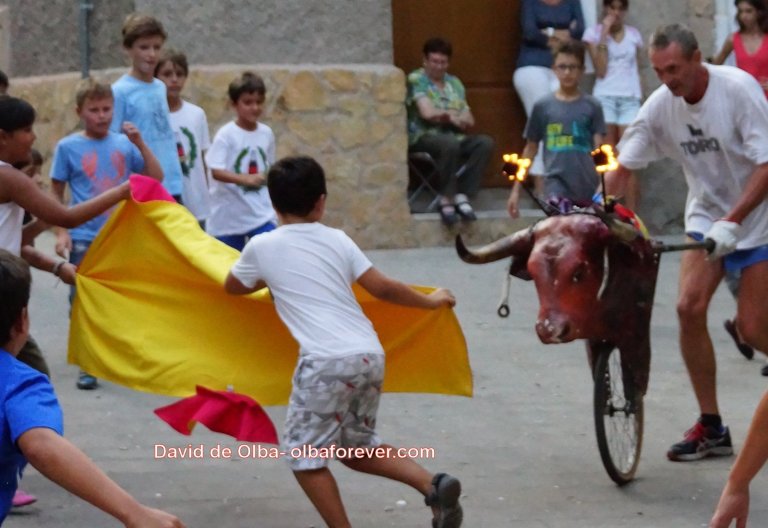 DSC07454 [1600x1200]