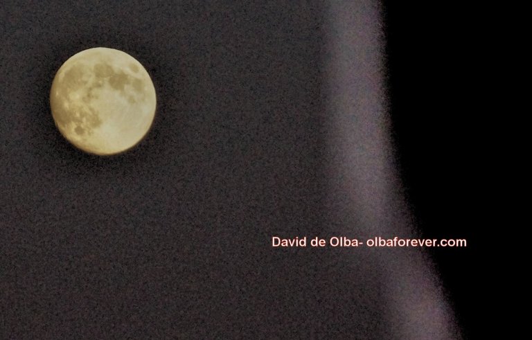 DSC07498 [1600x1200]