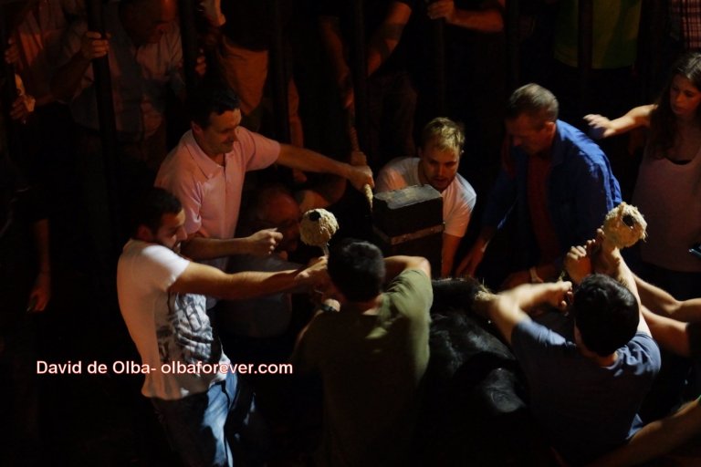 DSC07524 [1600x1200]