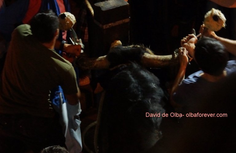 DSC07530 [1600x1200]