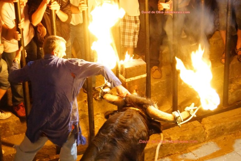 DSC07539 [1600x1200]