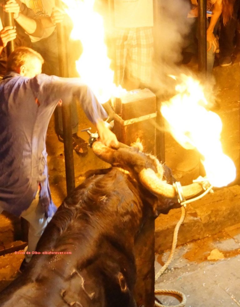 DSC07543 [1600x1200]