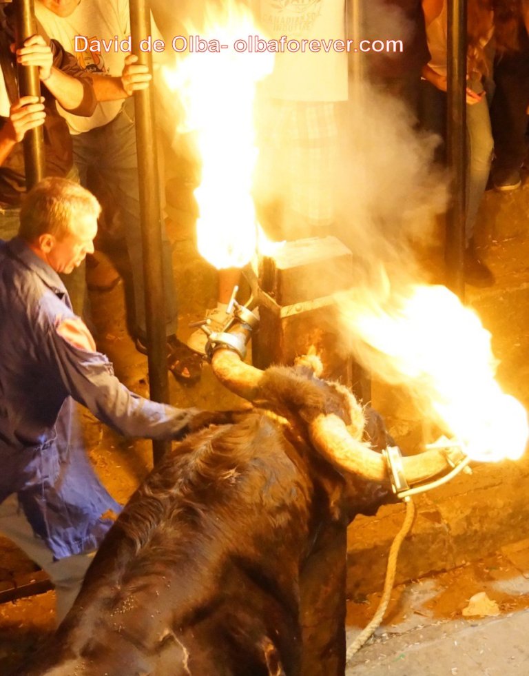 DSC07547 [1600x1200]