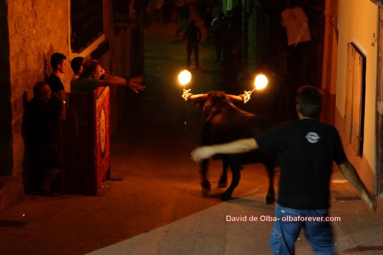 DSC07569 [1600x1200]