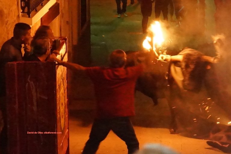 DSC07598 [1600x1200]