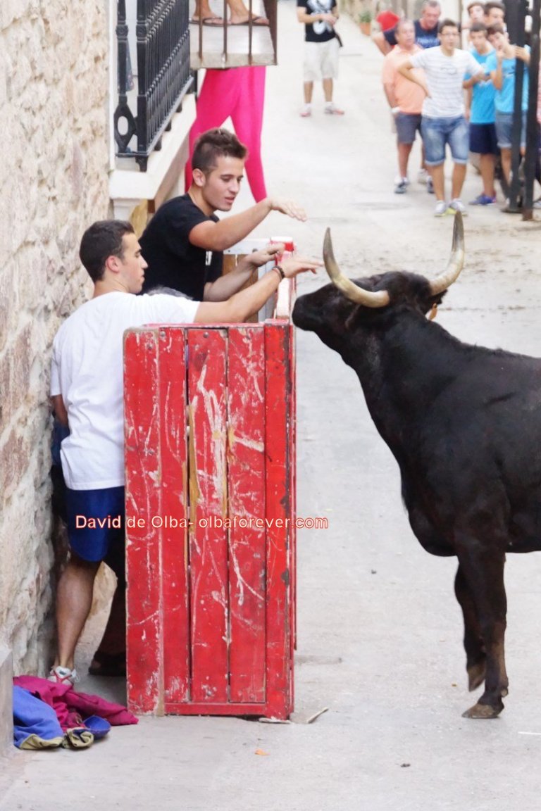 DSC07670 [1600x1200]