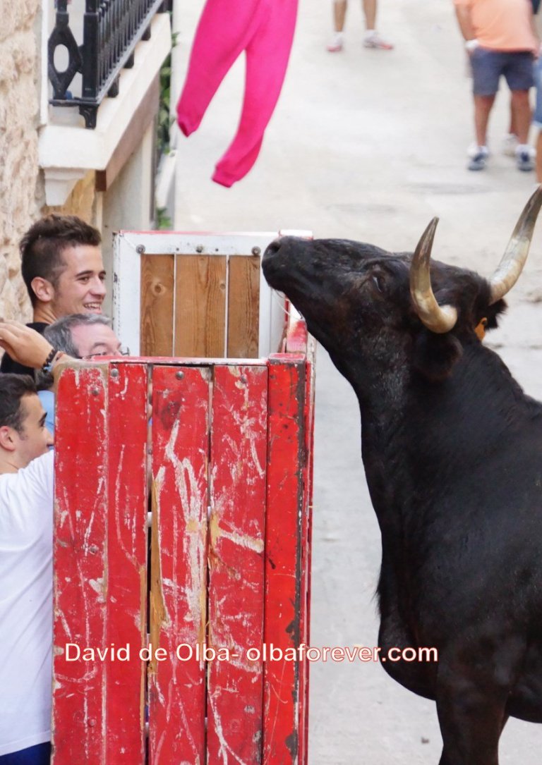 DSC07673 [1600x1200]