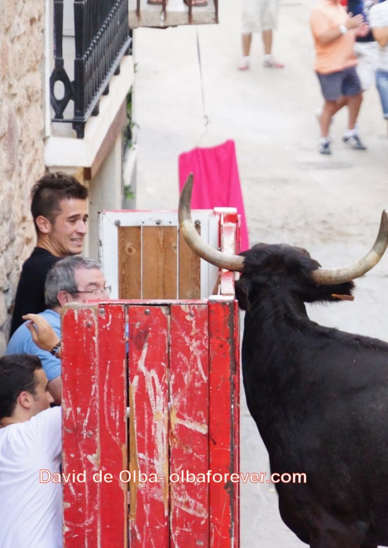 DSC07679 [1600x1200]