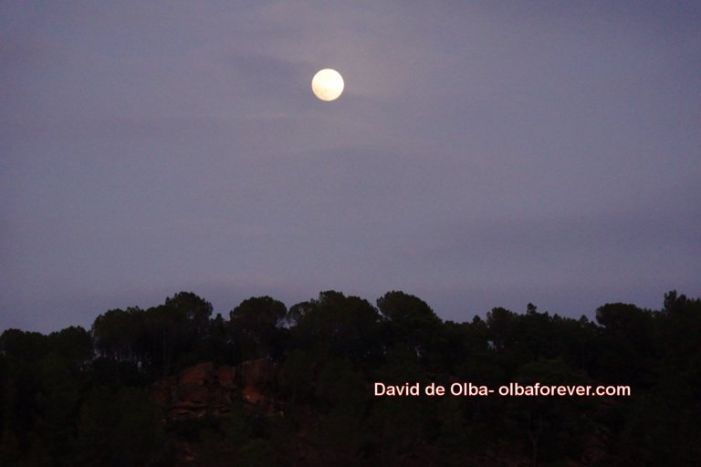 DSC07786 [1600x1200]