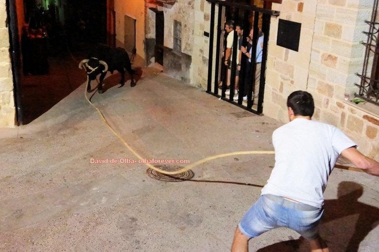 DSC07820 [1600x1200] - SOGA FLOJA