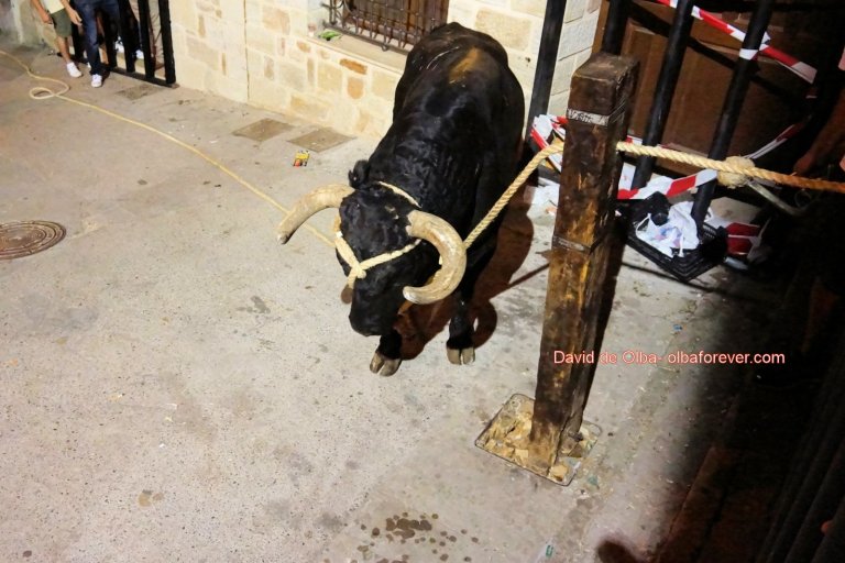 DSC07842 [1600x1200]