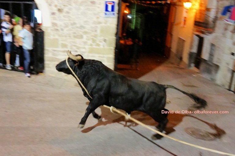 DSC07866 [1600x1200] - EMBESTIDA