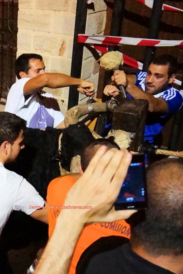 DSC07871 [1600x1200]